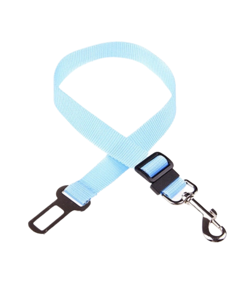 Car Safety Belt