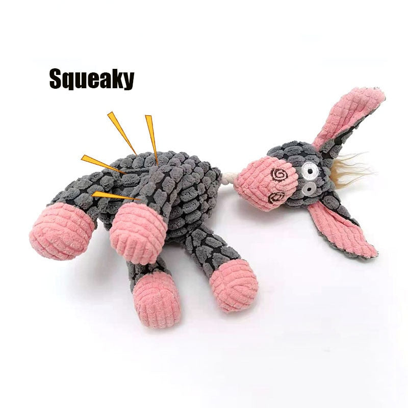 Squeaky Toy