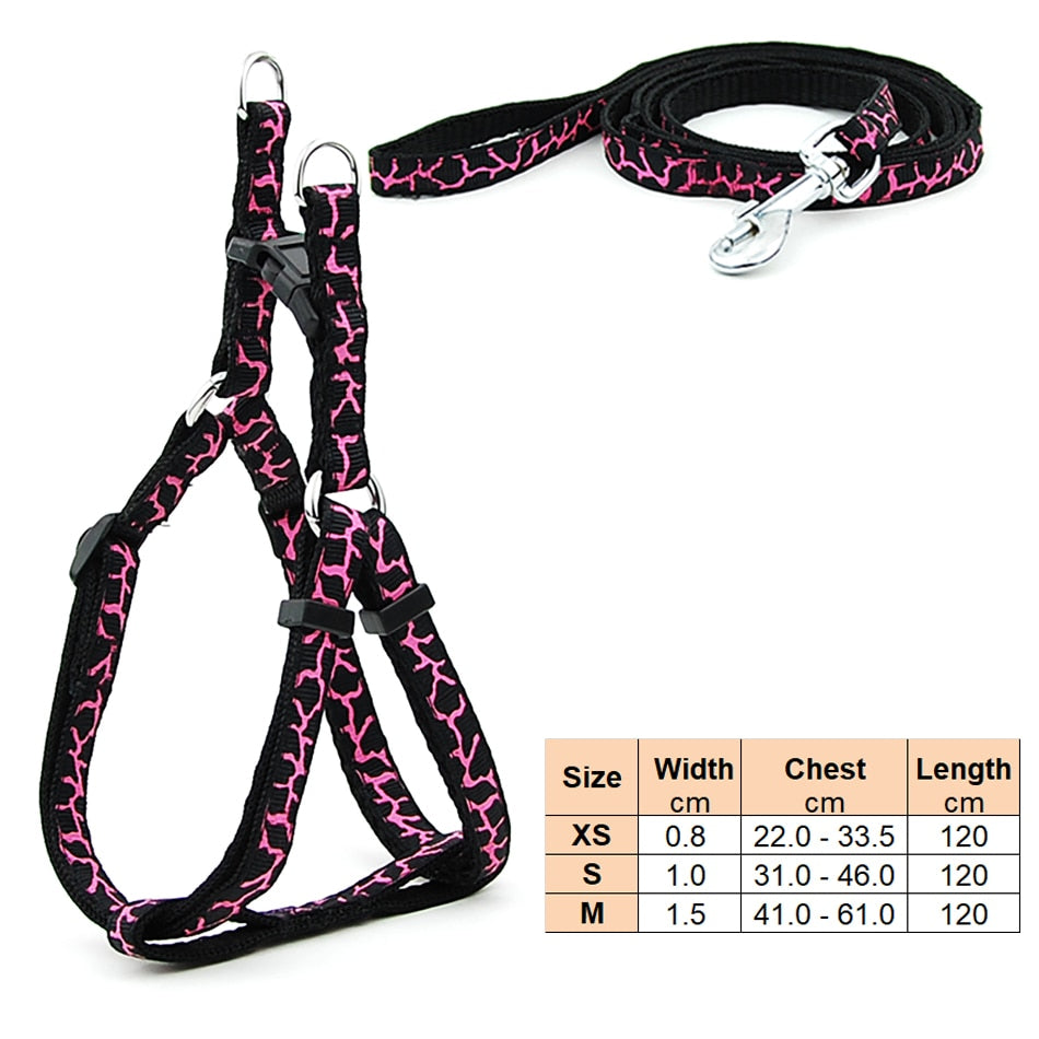 'Funky' Dog Harness