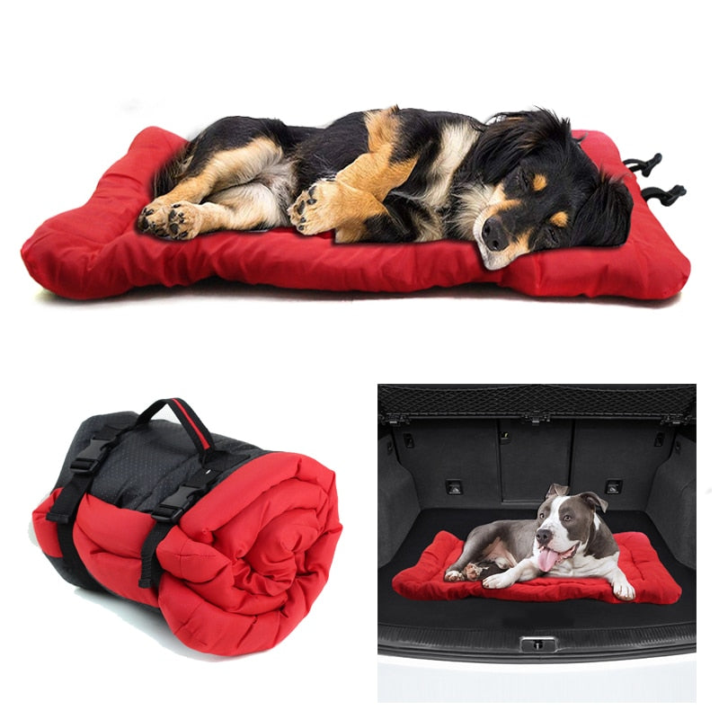 Premium Portable Bed