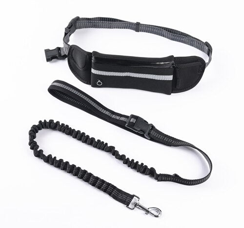 Running Belt with Leash