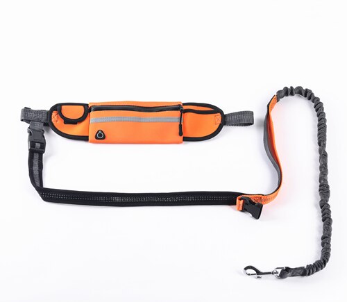 Running Belt with Leash