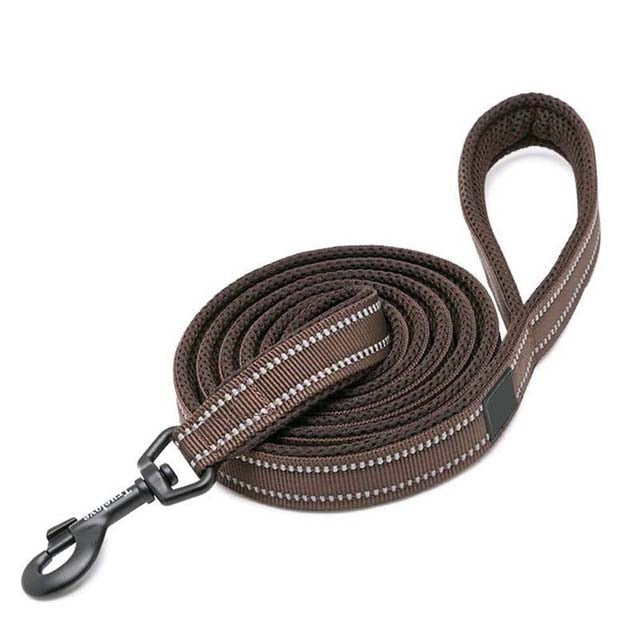 Soft Padded Walking Leash