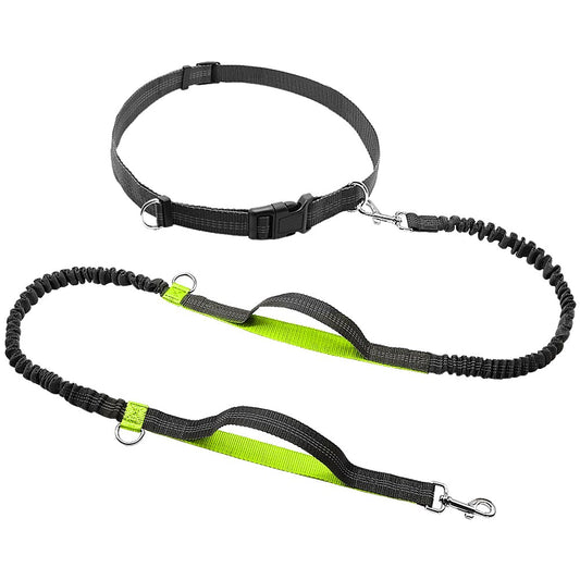 Waist Belt & Dual Handle Lead