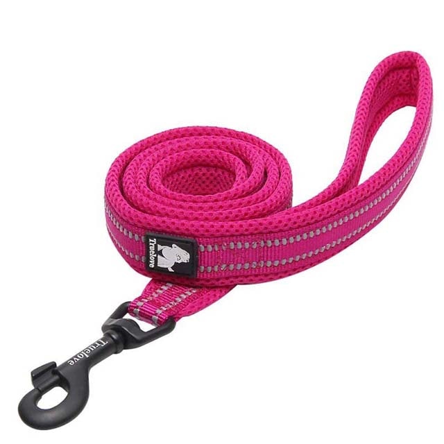 Soft Padded Walking Leash