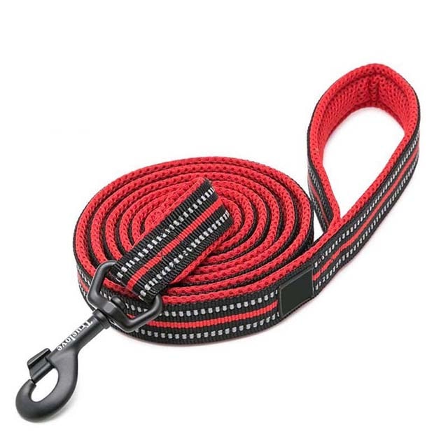 Soft Padded Walking Leash