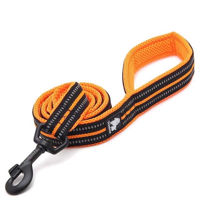 Soft Padded Walking Leash