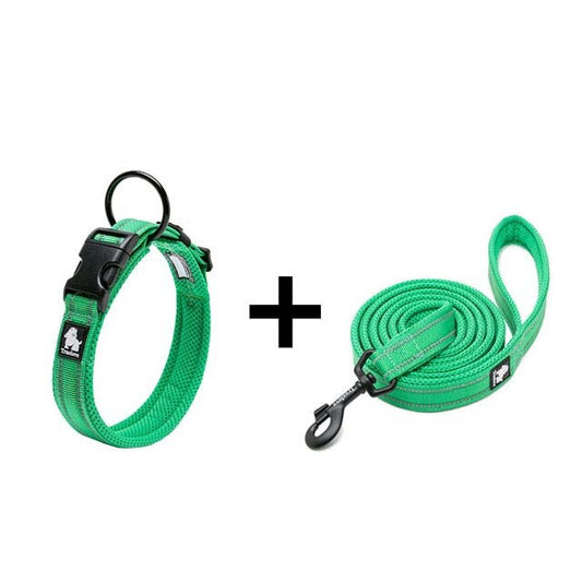 'True' Collar and Leash Set