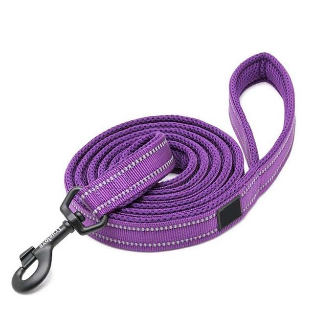 Soft Padded Walking Leash