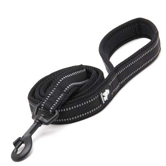 Soft Padded Walking Leash