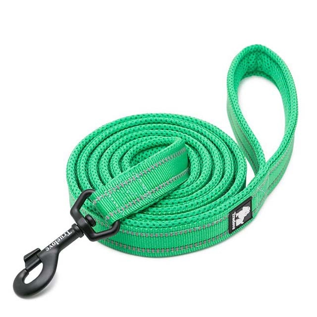 Soft Padded Walking Leash