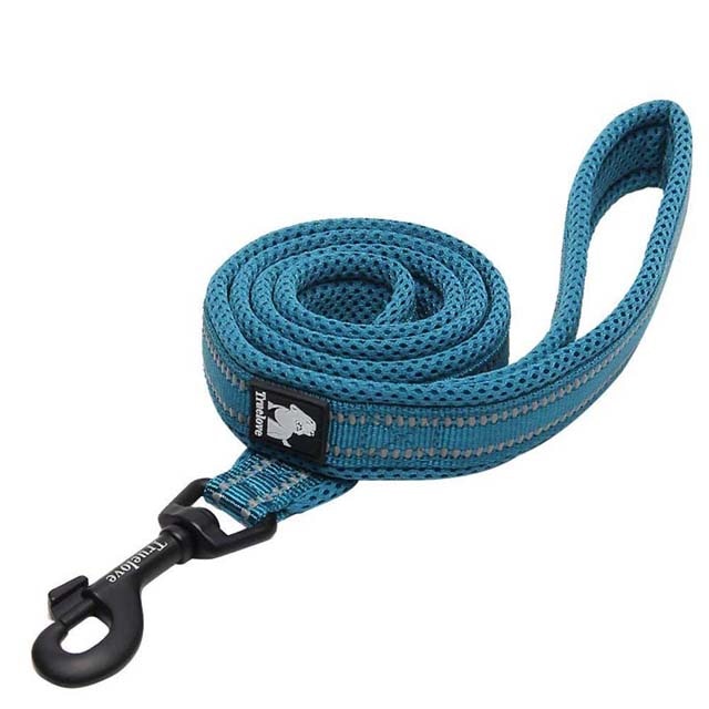 Soft Padded Walking Leash