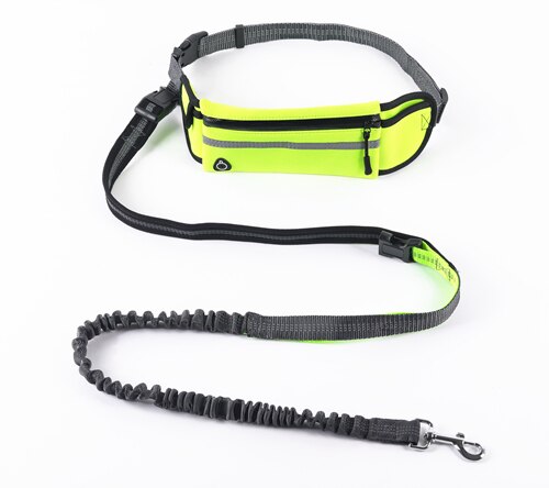 Running Belt with Leash