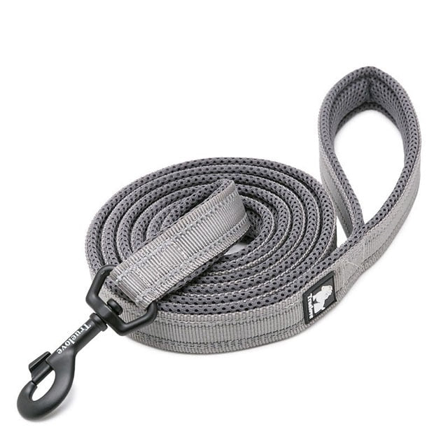 Soft Padded Walking Leash