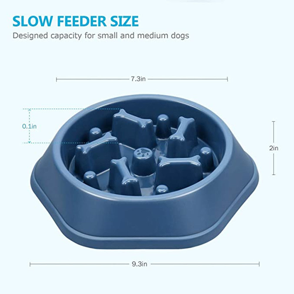 Slow Feeder Bowl