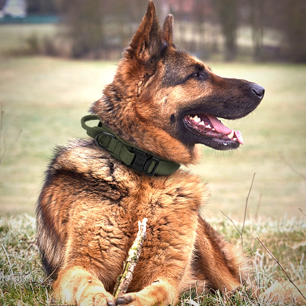 'Military' Tactical Collar