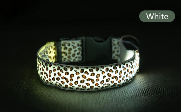 LED Luminous Collar