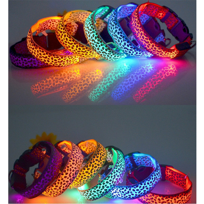 LED Luminous Collar