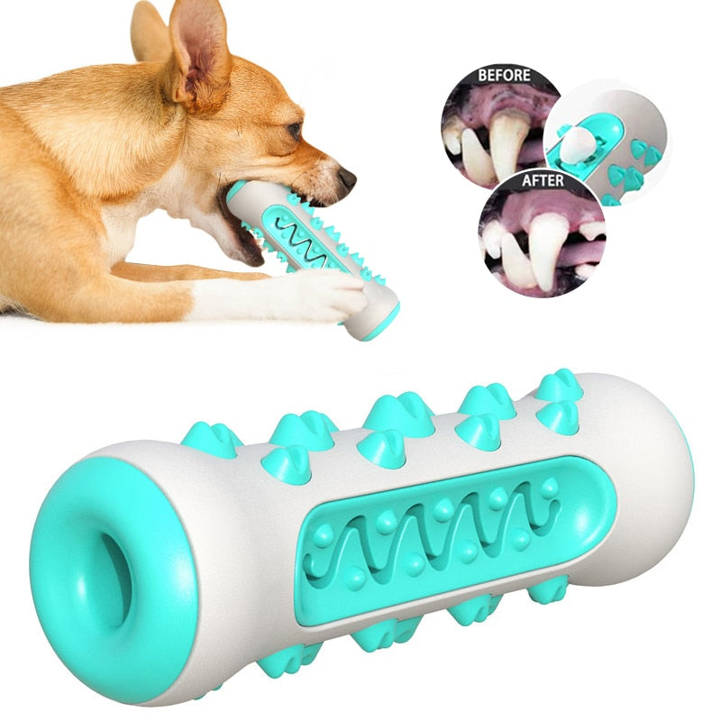 Molar Chew Toy