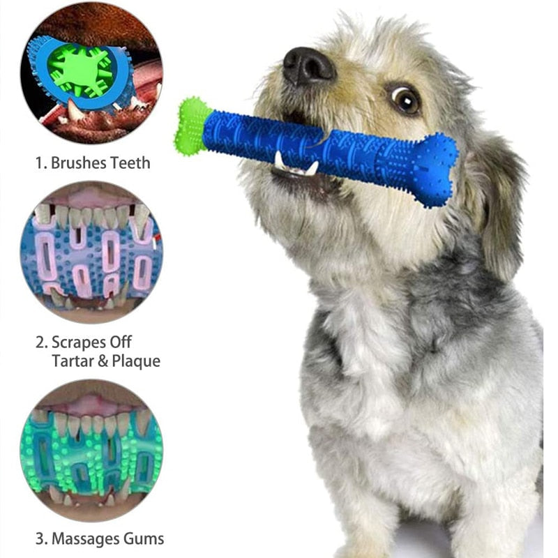 Toothbrush Chew Toy