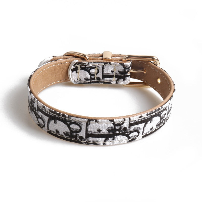 Fashion Print Collar & Leash