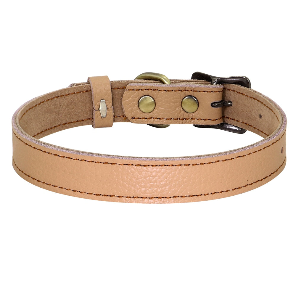 Real Leather Dog Collar