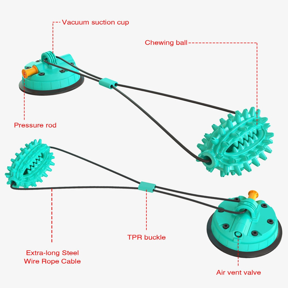 Premium Molar Bite Toy