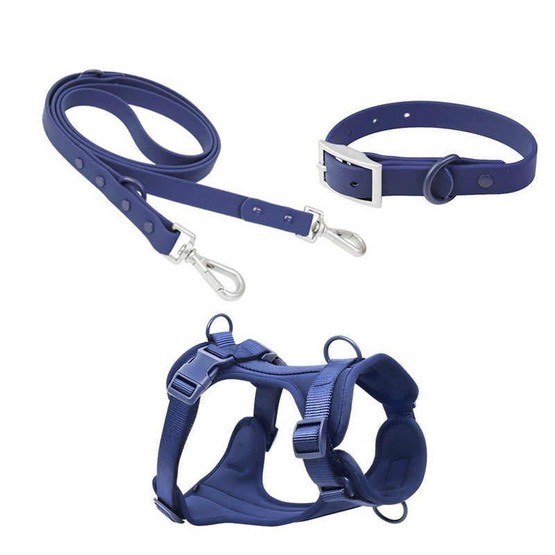 Harness, Collar & Lead Set