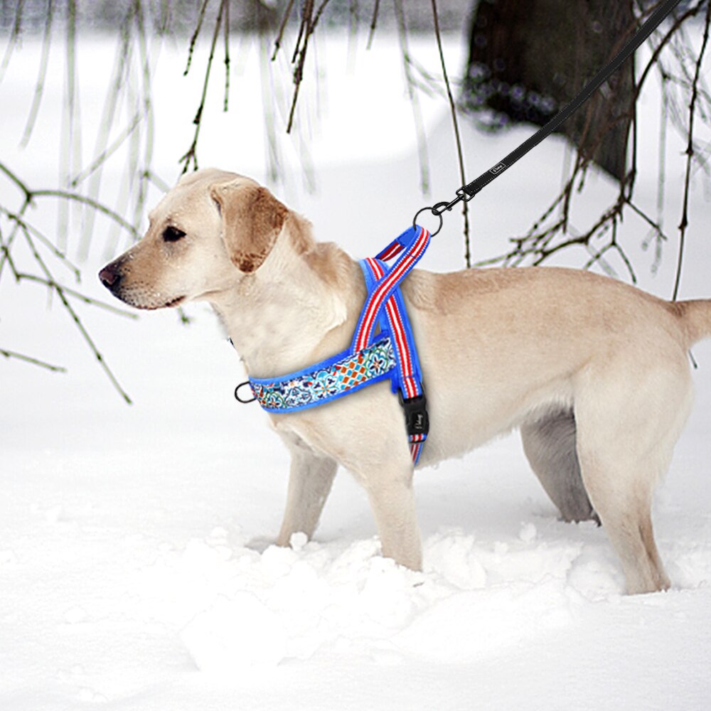 'Summer' Soft Harness