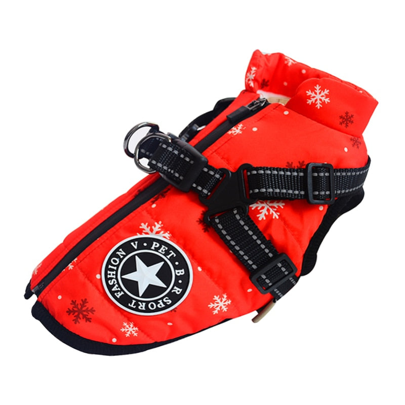 Premium Dog Jacket With Harness