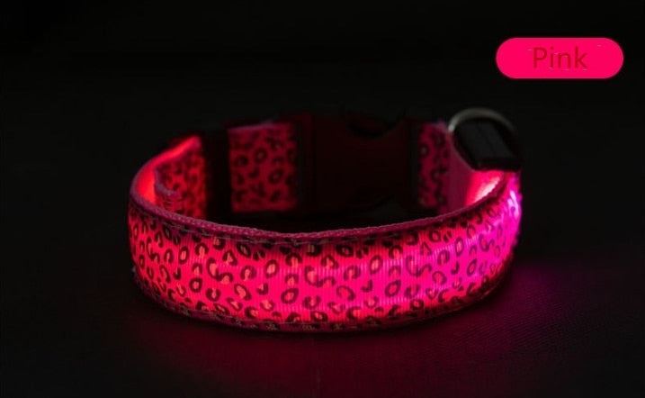 LED Luminous Collar