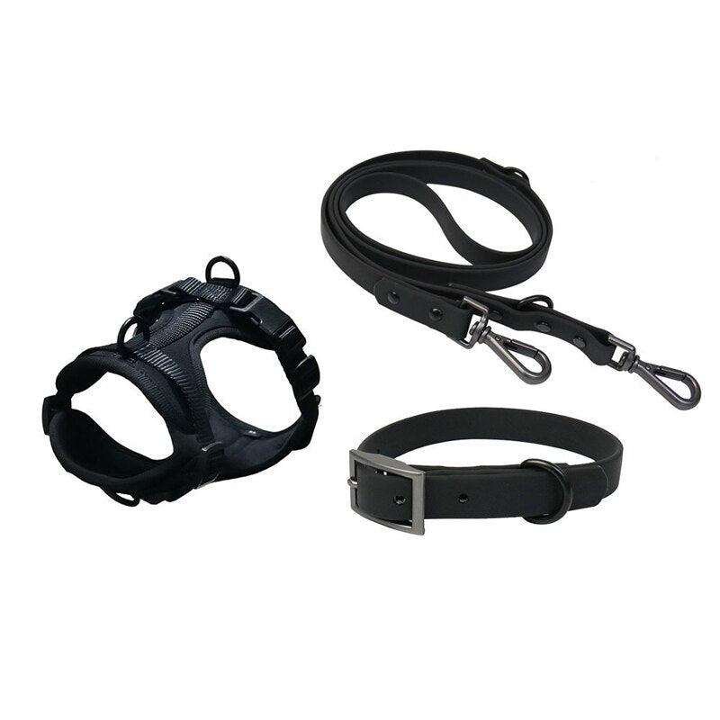 Harness, Collar & Lead Set