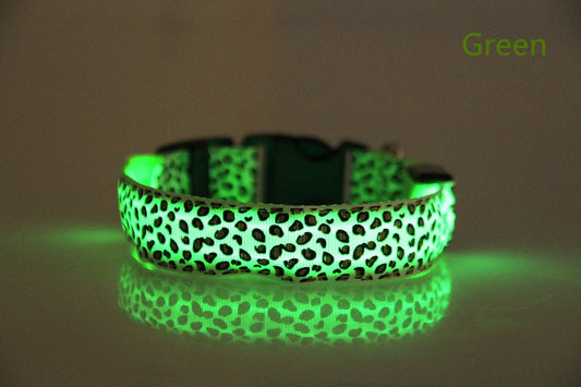 LED Luminous Collar