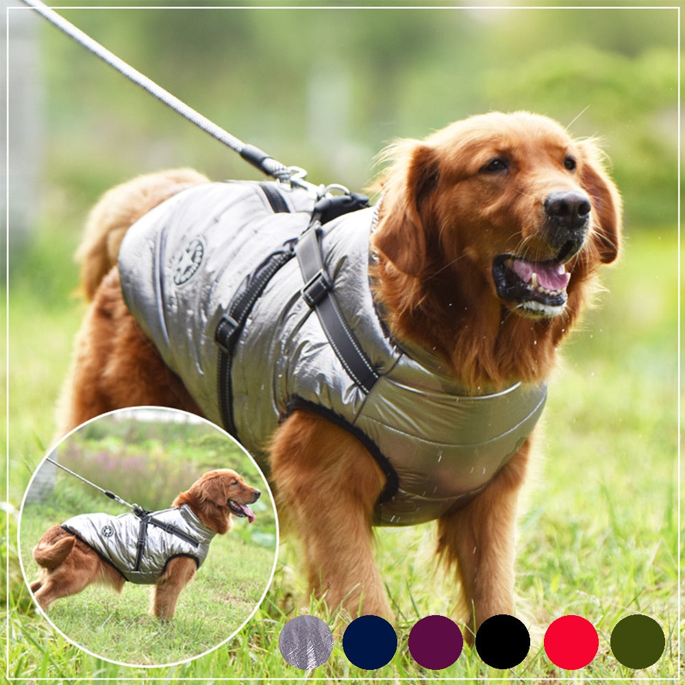 Premium Dog Jacket With Harness