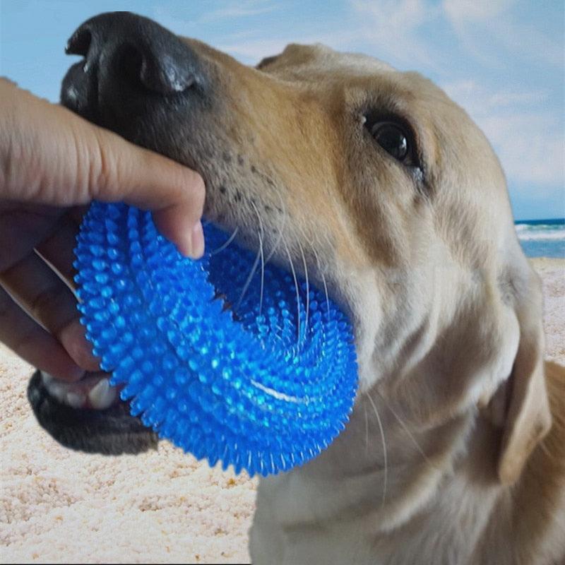 Durable Chew Toy