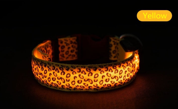 LED Luminous Collar