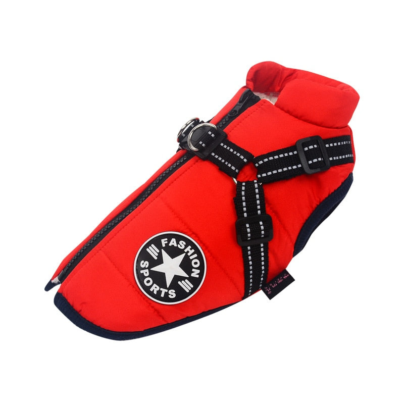 Premium Dog Jacket With Harness