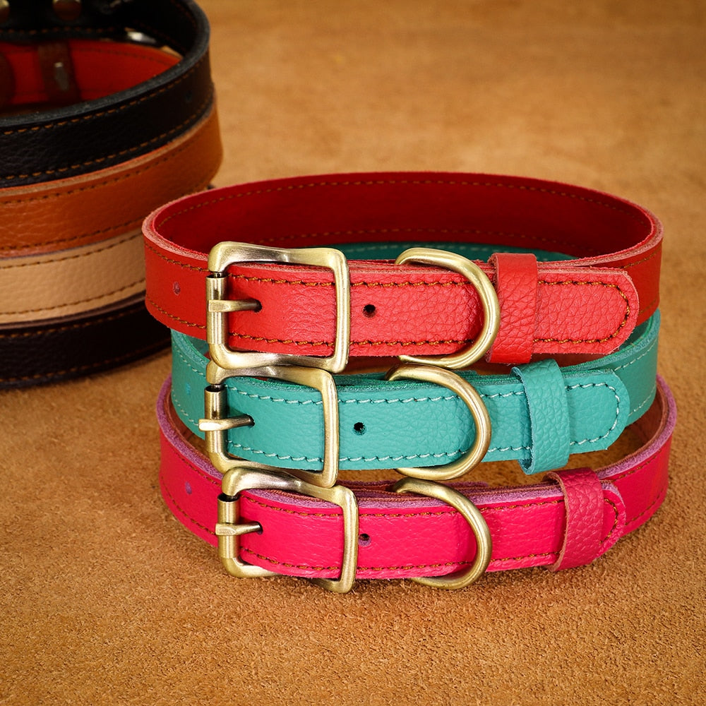 Real Leather Dog Collar