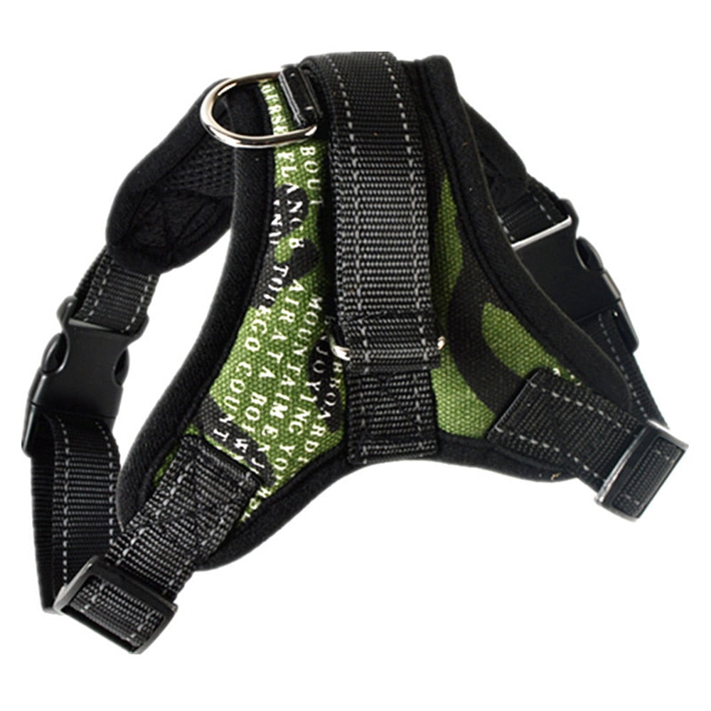 'Camou' Harness and Rope Lead