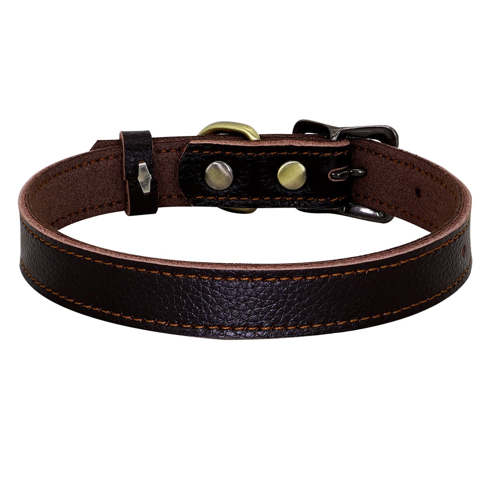 Real Leather Dog Collar