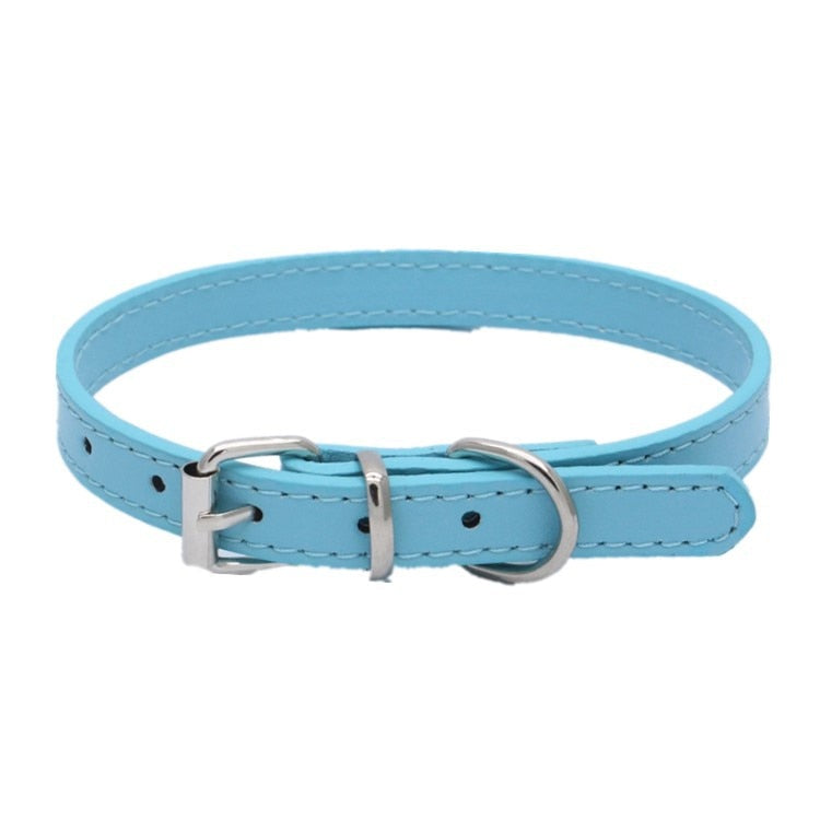 Buckle Dog collar