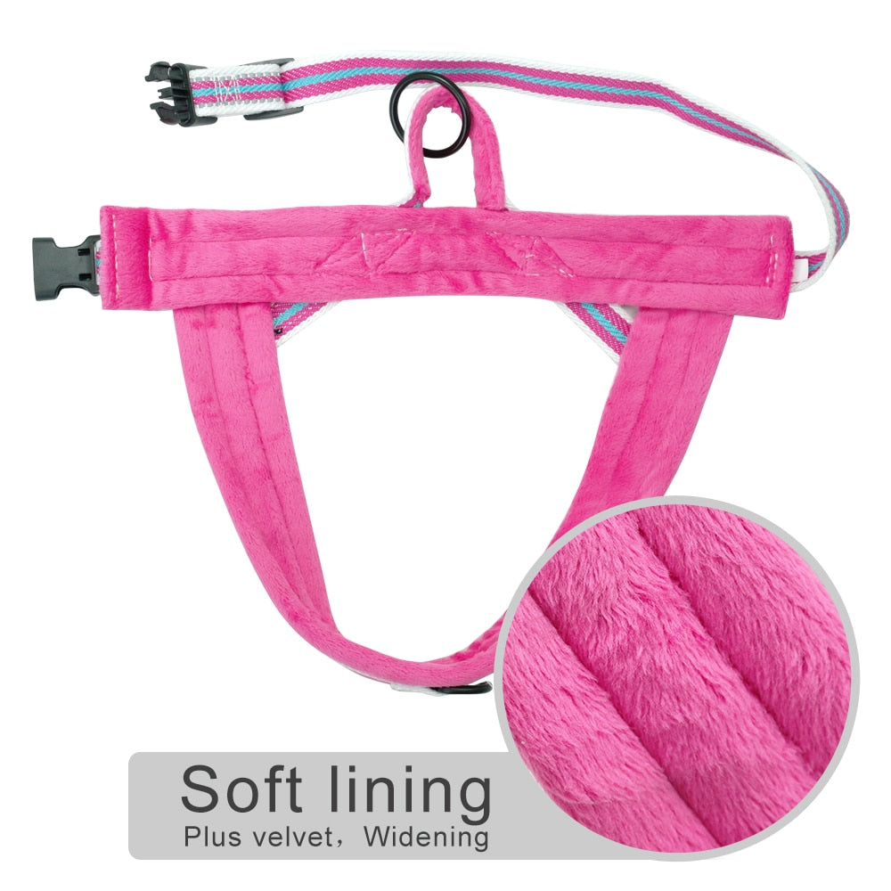 'Summer' Soft Harness