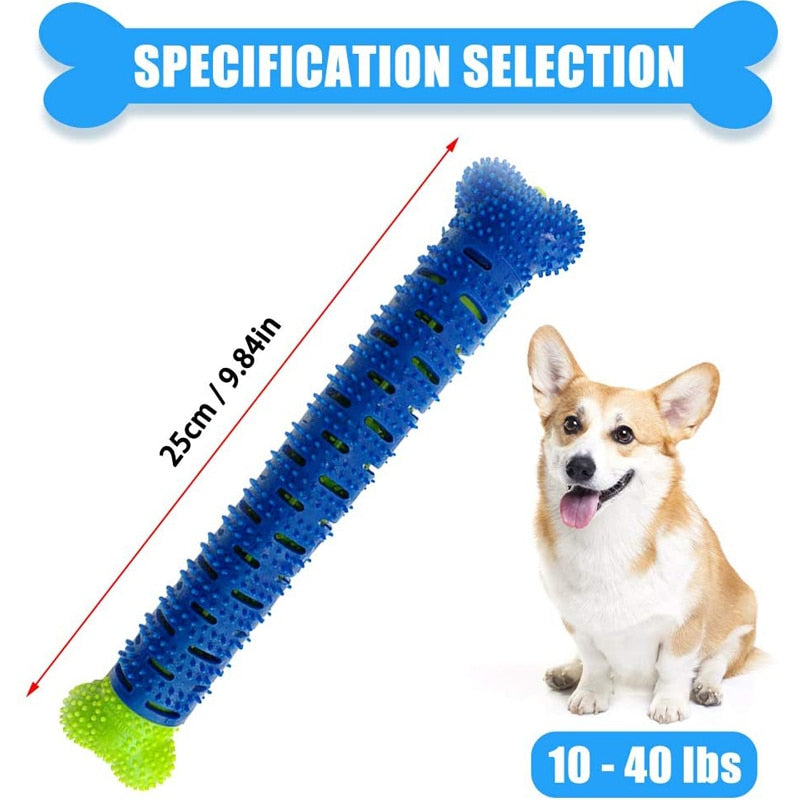 Toothbrush Chew Toy