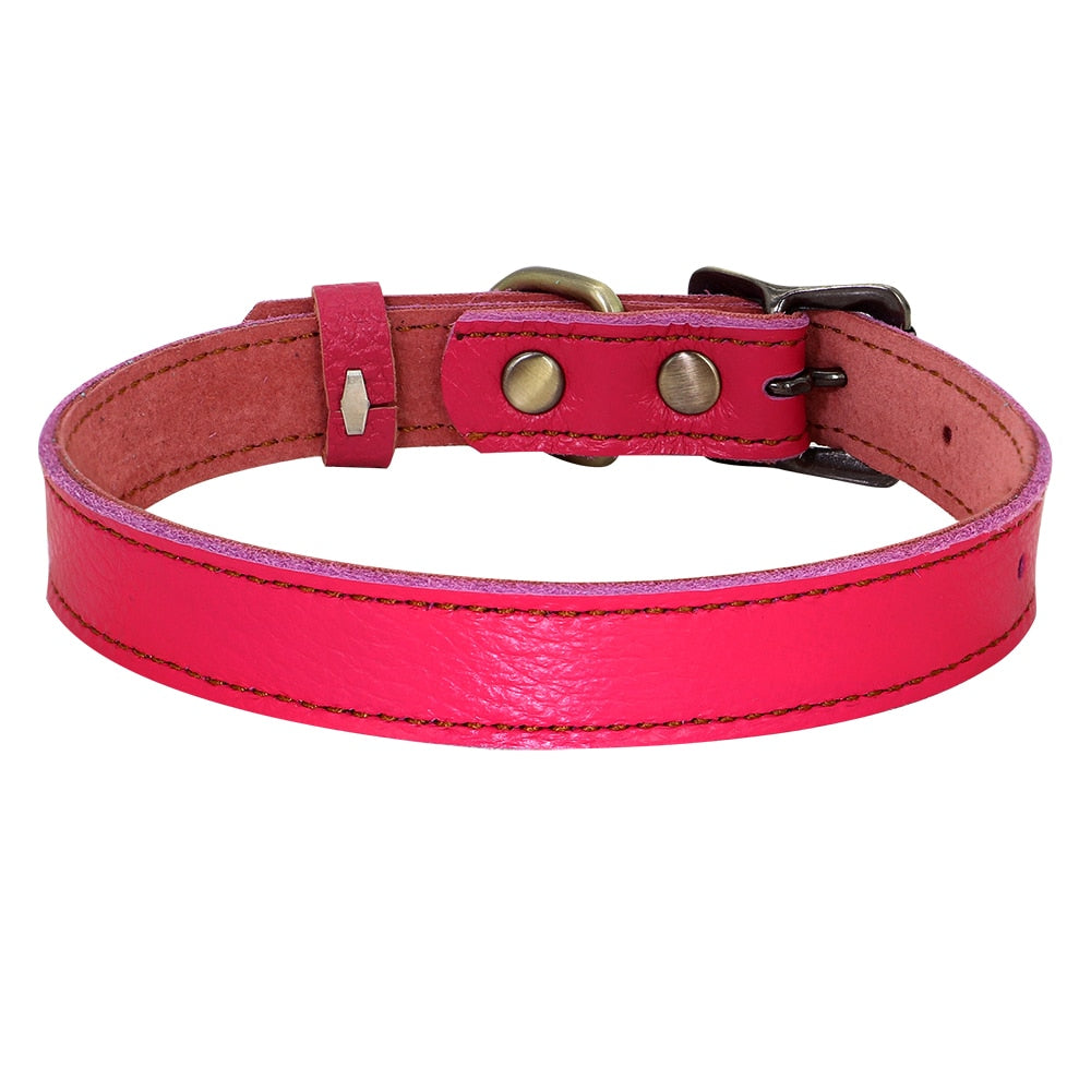 Real Leather Dog Collar