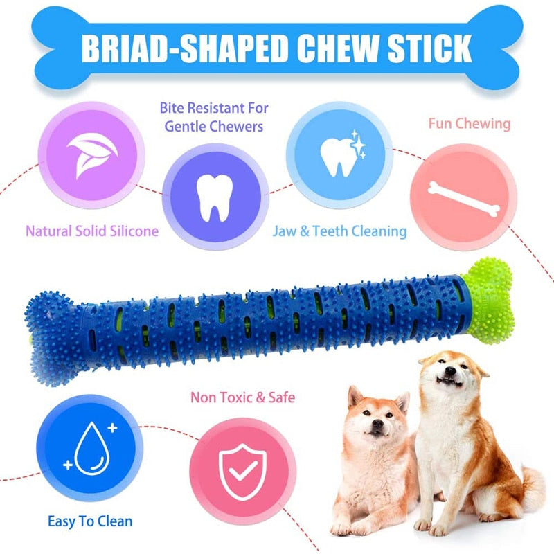 Toothbrush Chew Toy