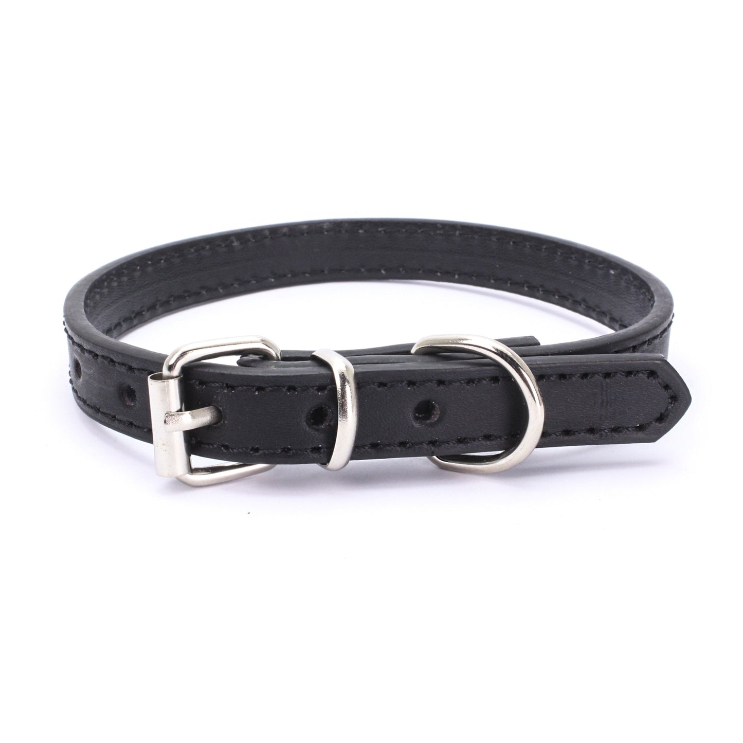 Buckle Dog collar