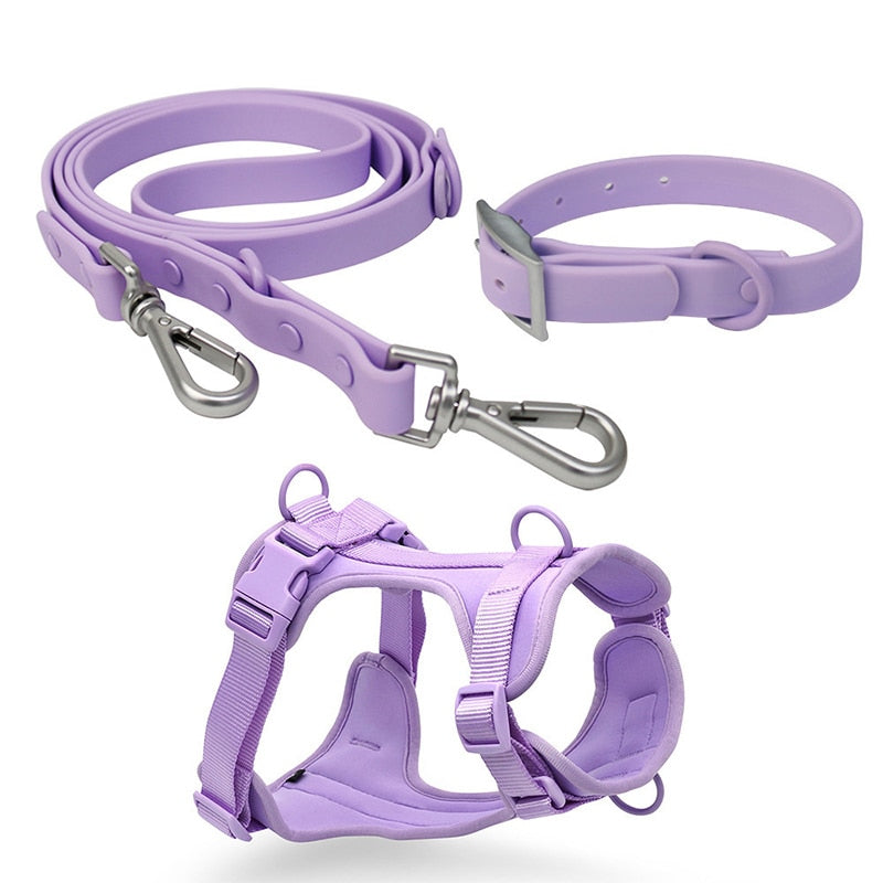 Harness, Collar & Lead Set