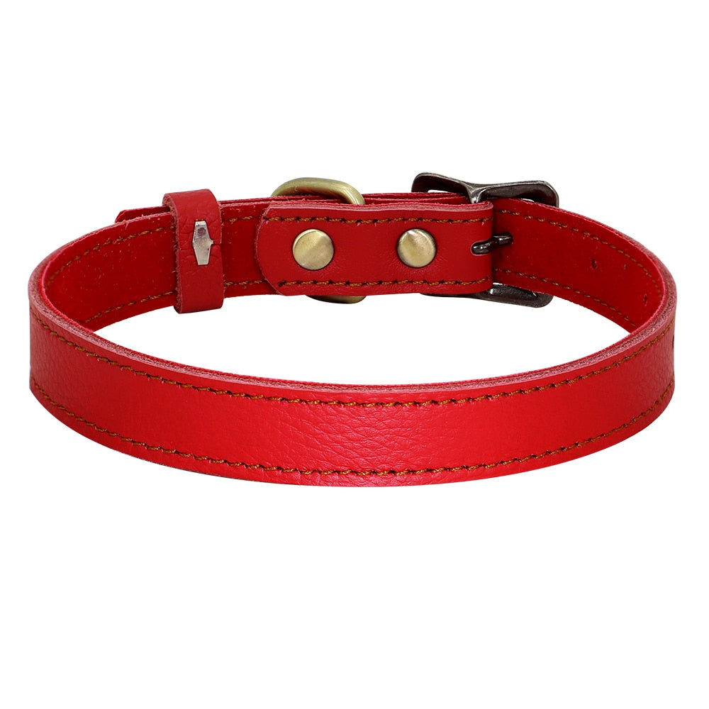 Real Leather Dog Collar