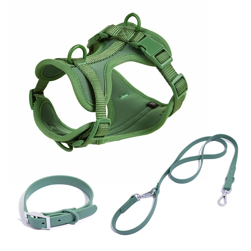 Harness, Collar & Lead Set