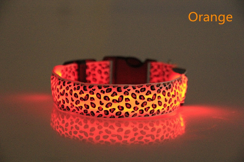 LED Luminous Collar